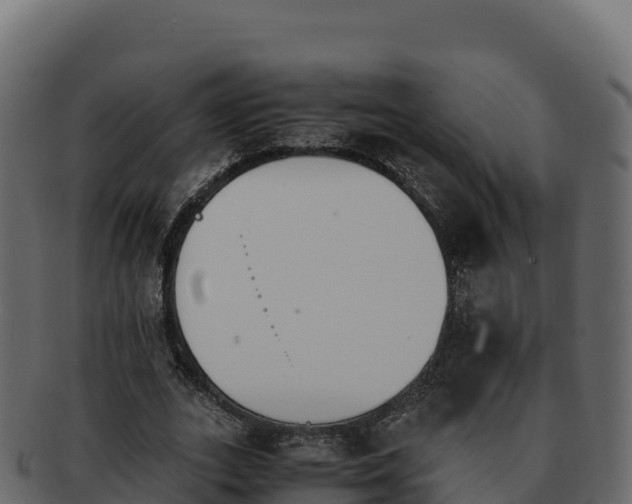 X0000092290727200710041429