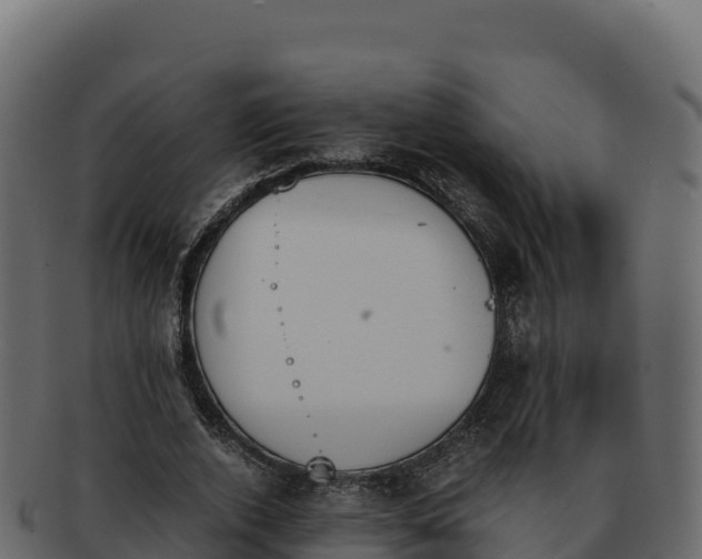 X0000092290728200710041429