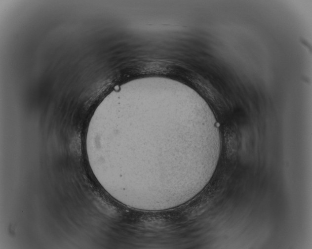 X0000092290729200710041429