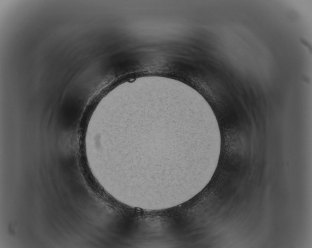 X0000092290730200710041429