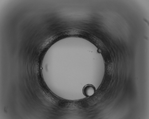 X0000092290732200710041429