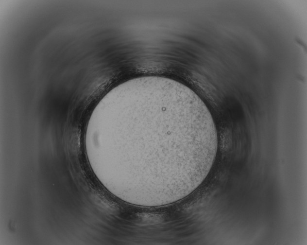 X0000092290733200710041429