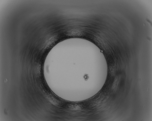 X0000092290735200710041429