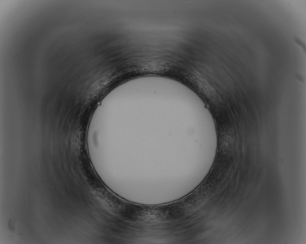 X0000092290736200710041429