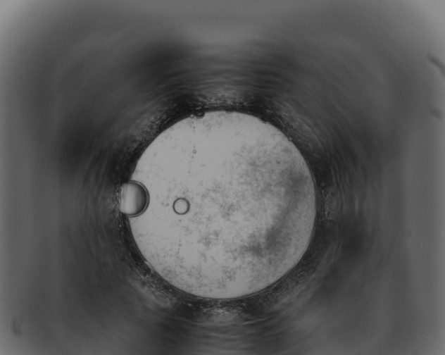 X0000092290737200710041429