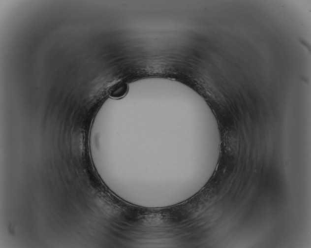 X0000092290740200710041429