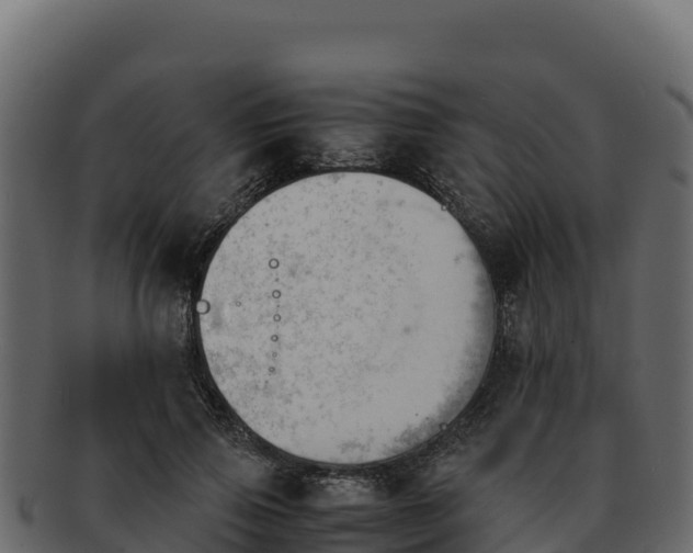 X0000092290741200710041429