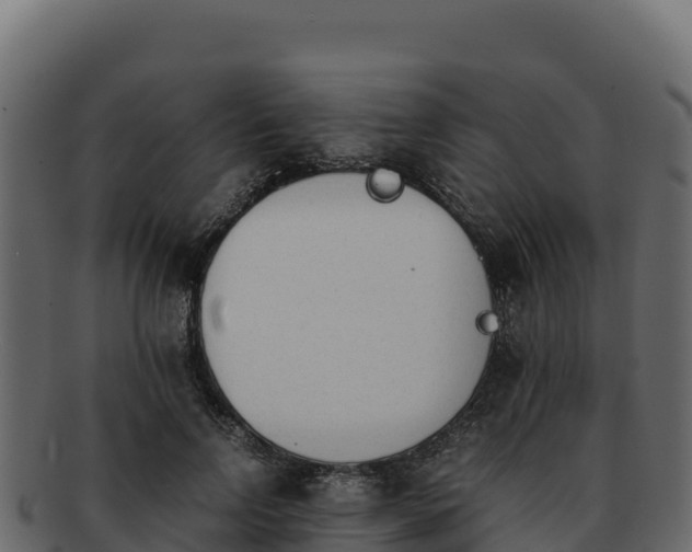 X0000092290742200710041429