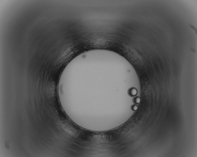 X0000092290744200710041429