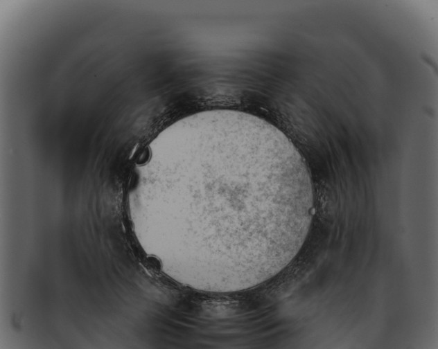 X0000092290745200710041429