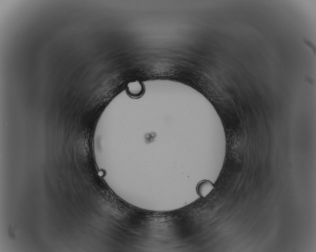 X0000092290746200710041429