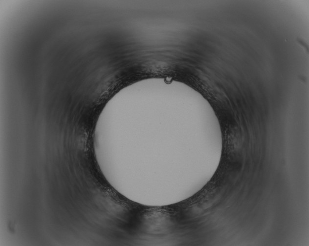 X0000092290750200710041429