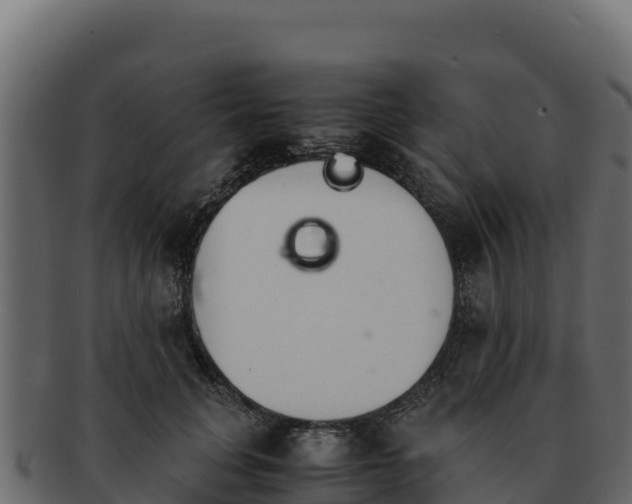 X0000092290751200710041429