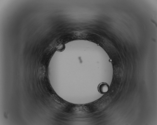 X0000092290752200710041429