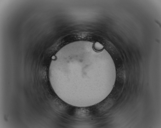 X0000092290754200710041429