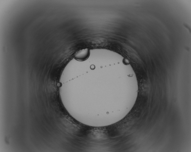 X0000092290756200710041429