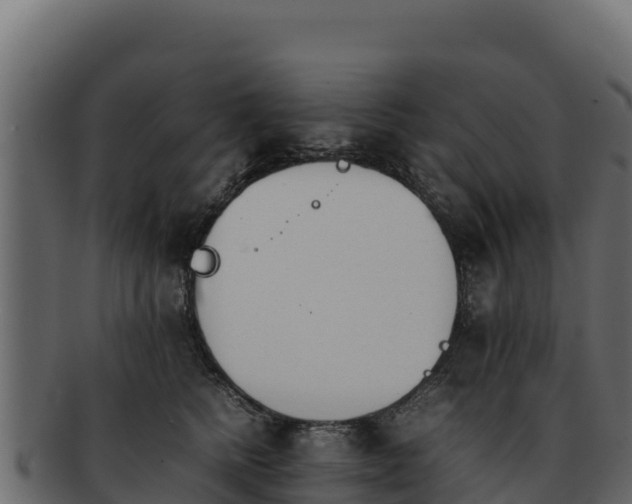 X0000092290758200710041429