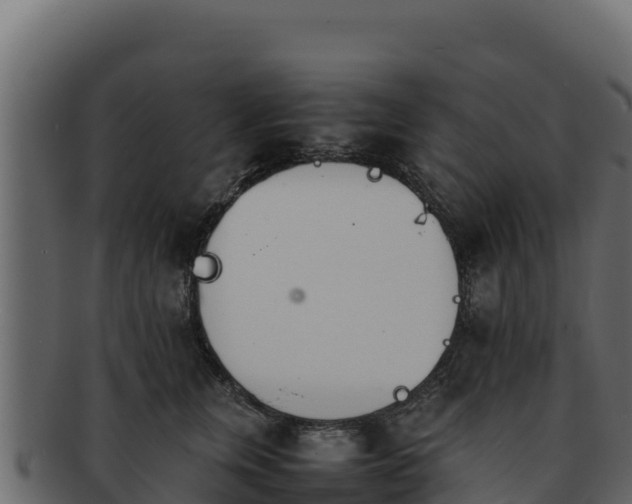 X0000092290759200710041429