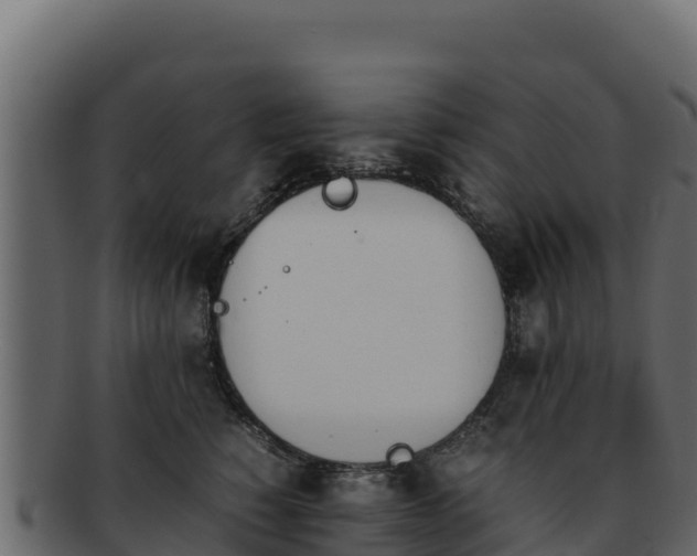 X0000092290760200710041429