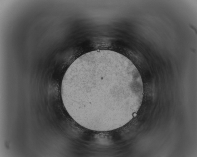 X0000092290761200710041429