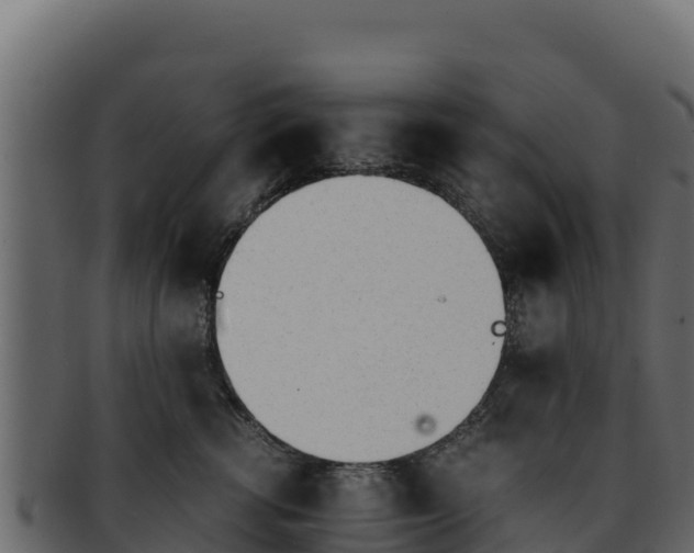 X0000092290762200710041429