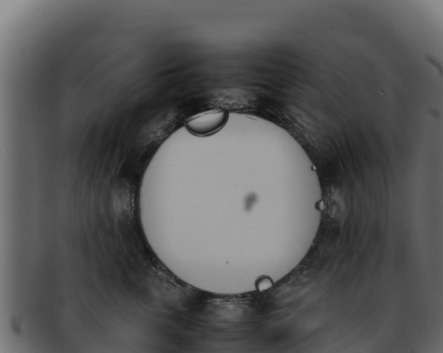 X0000092290763200710041429