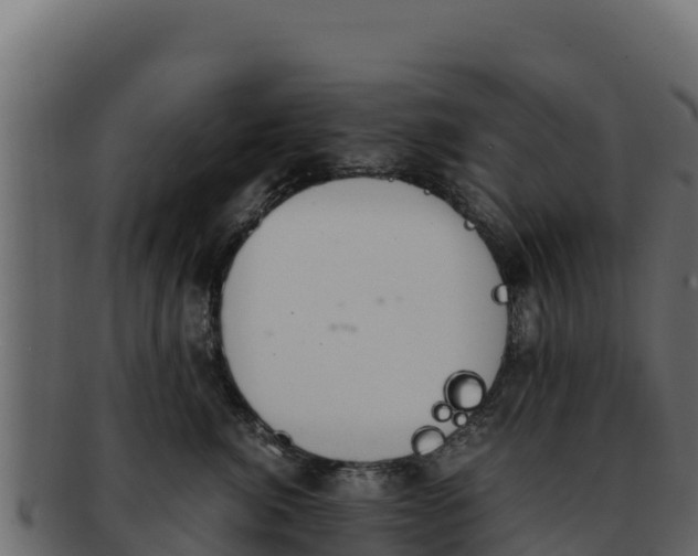 X0000092290764200710041429