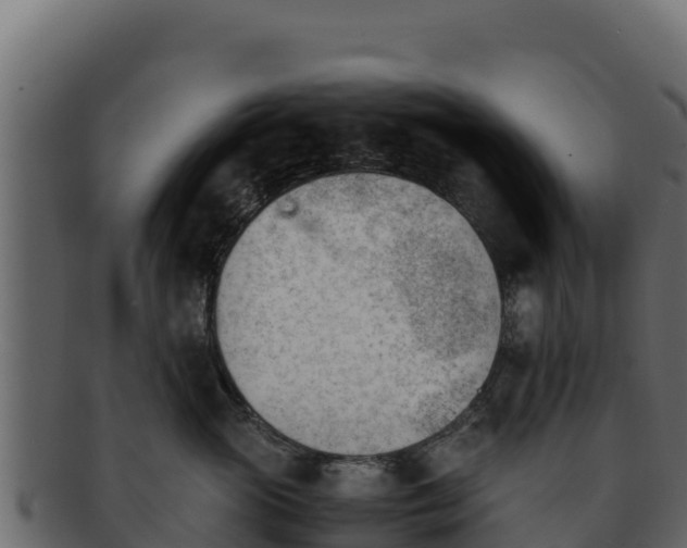 X0000092290765200710041429