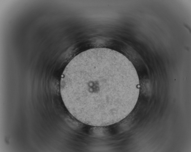 X0000092290766200710041429