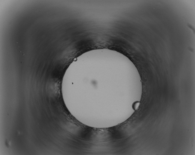 X0000092290768200710041429