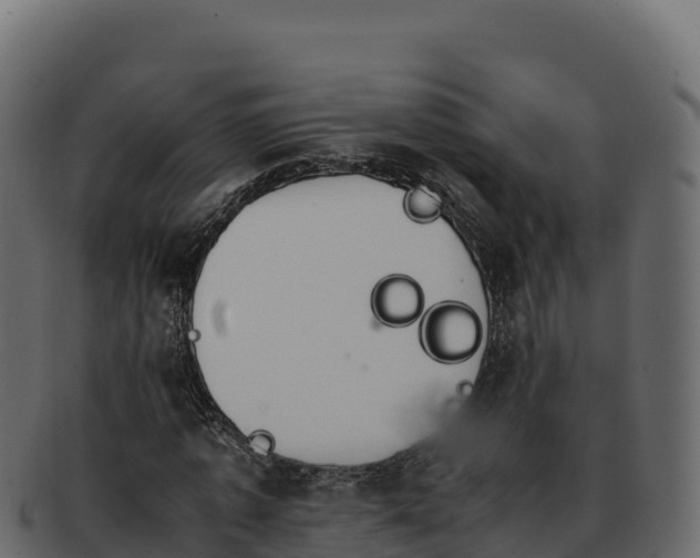 X0000092290773200710041428