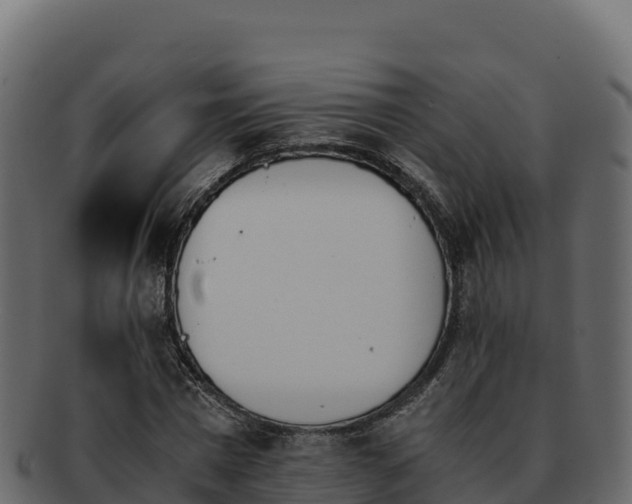 X0000092290777200710041428