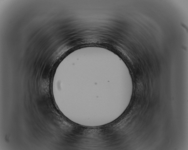 X0000092290778200710041428