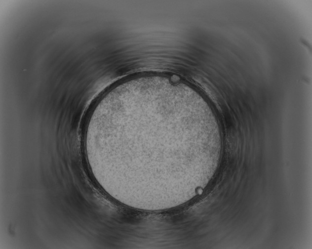 X0000092290779200710041428