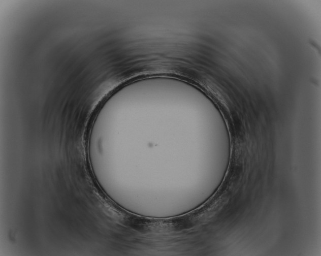 X0000092290789200710041428