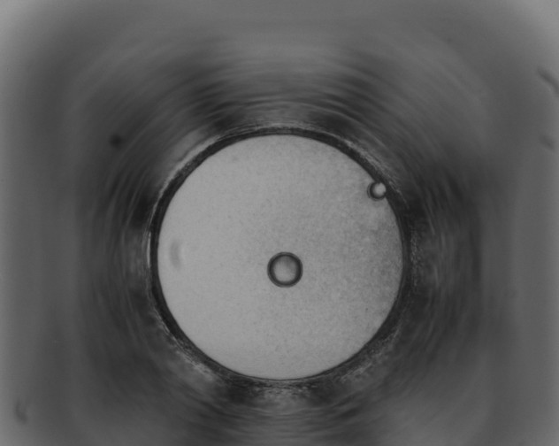 X0000092290790200710041428