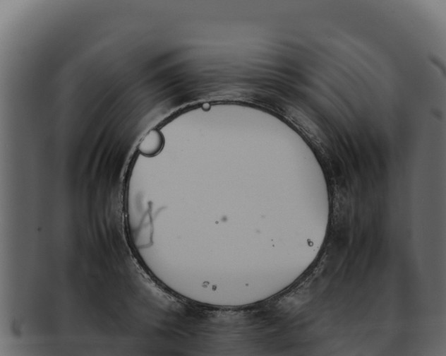 X0000092290800200710041428