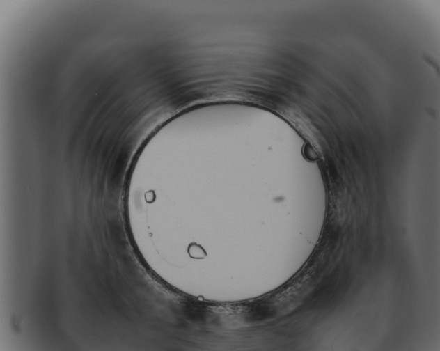 X0000092290805200710041428