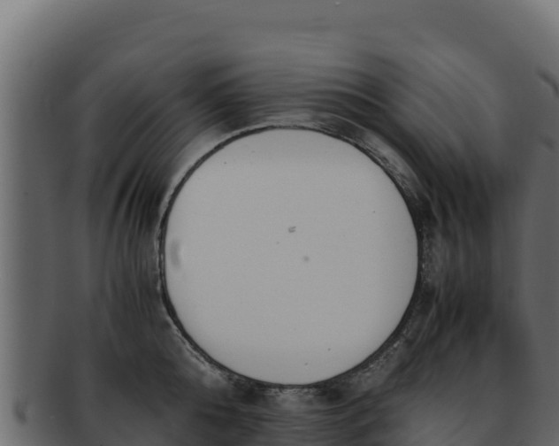 X0000092290808200710041428