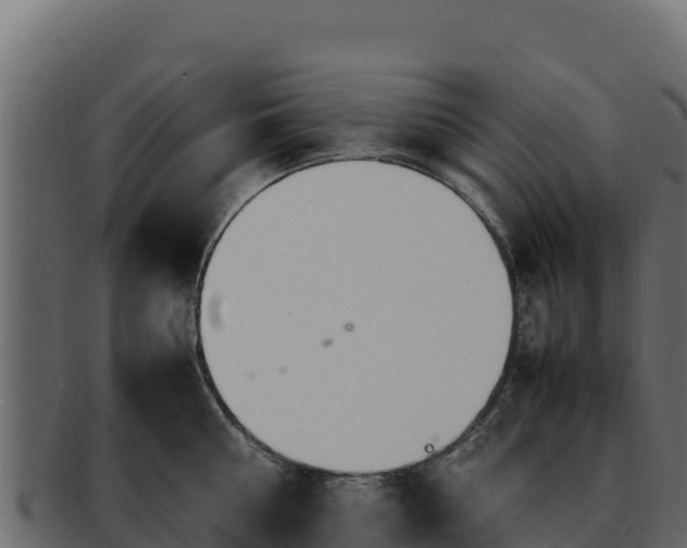 X0000092290810200710041428