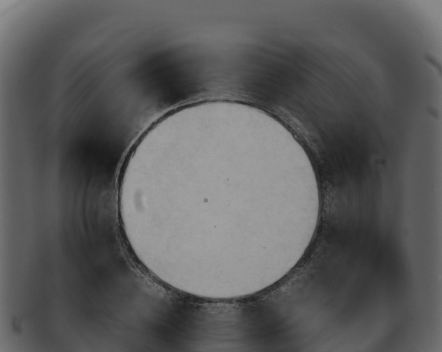 X0000092290836200710041428