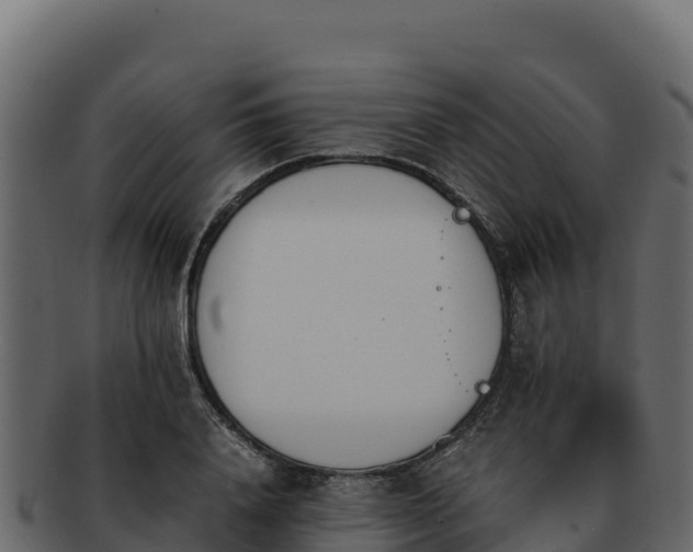 X0000092290840200710041428