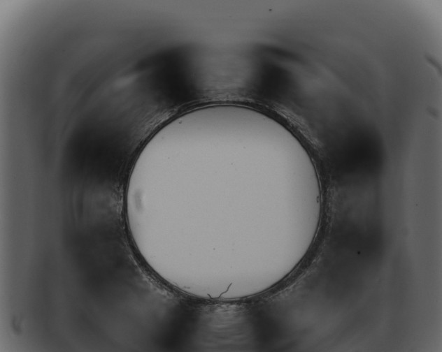 X0000092290841200710041428