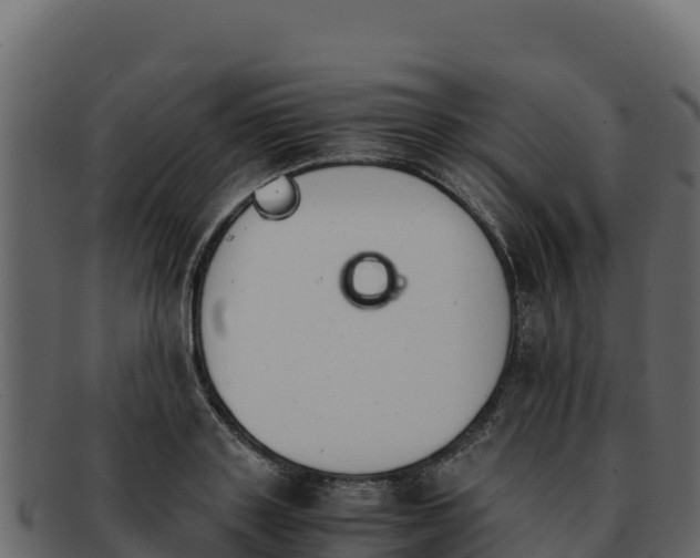 X0000092290843200710041428