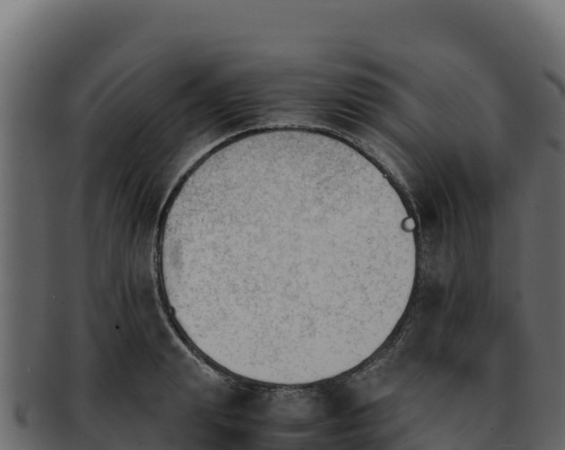 X0000092290847200710041428