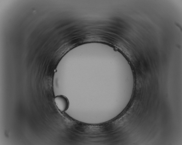 X0000092290849200710041428