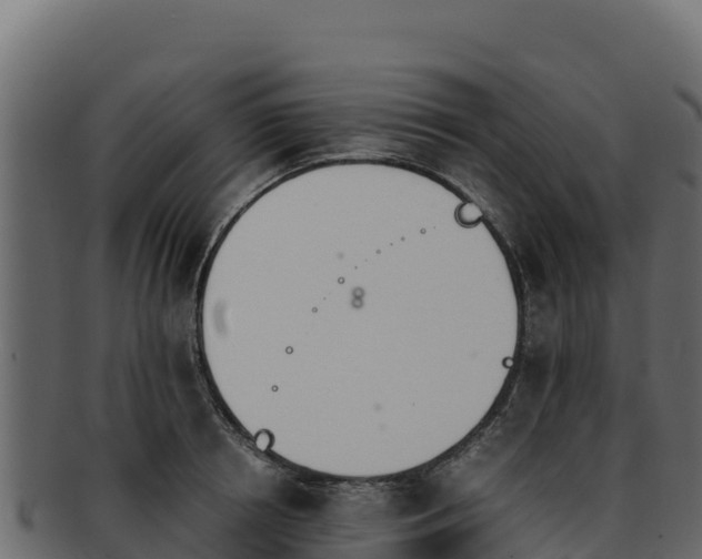 X0000092290850200710041428