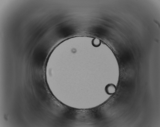 X0000092290854200710041428