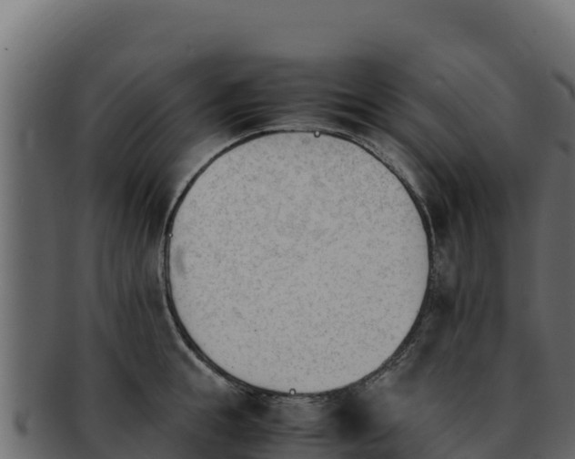 X0000092290855200710041428