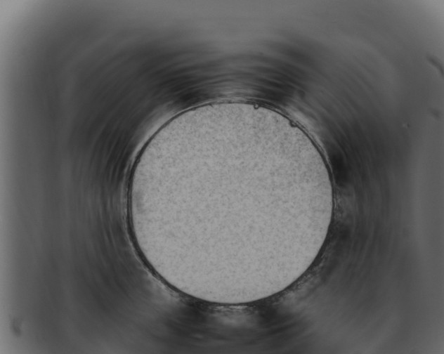 X0000092290859200710041428